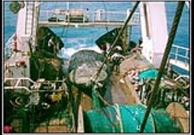 آغاز گشت تحقیقاتی 