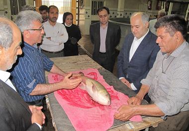 بازدید رئیس سازمان برنامه و بودجه استان خوزستان از پژوهشکده آبزی پروری جنوب کشور