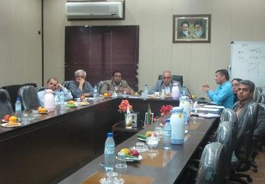  برگزاری دومین جلسه کمیته نظارت بر قرارداد ارزیابی ذخایر فانوس ماهیان 