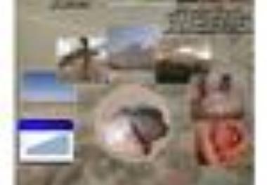 موسسه تحقیقات علوم شیلاتی کشور با همکاری مرکز تحقیقات ملی آبزیان آب های شور برگزار می نماید