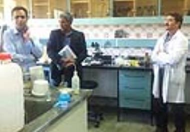 برگزاری هشتمین نشست کارگروه ساماندهی آزمایشگاه ها