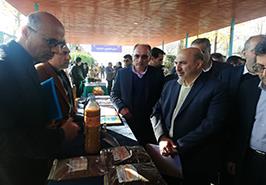 حضور رئیس سازمان تحقیقات، آموزش و ترویج کشاورزی در نمایشگاه هفته پژوهش استان مازندران
