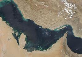 شکوفایی ریزجلبک‌ها با تصاویر ماهواره‌ای رصد می‌شود