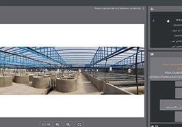 دوره آموزشی تکثیر و پرورش ماهی تیلاپیا به‌صورت آنلاین برگزار شد
