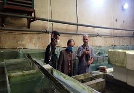 بازدیداز شرکت تولید ماهیان زینتی جم