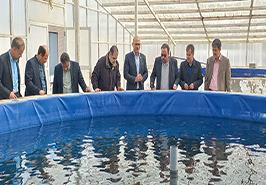 بازدید از مرکز تحقیقات ملی آبزیان آب های شور_ بافق یزد