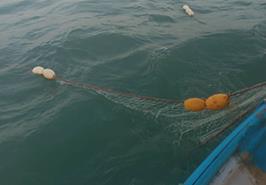 اجرای گشت تحقیقاتی برای بررسی سلامت اکولوژیکی زیستگاه‌های آبزیان