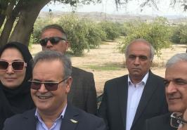 معاون وزیر جهاد کشاورزی به هرمزگان سفر کرد