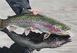 تولید مولدین نرِ نئومیل و فرمولاسیون اختصاصی رقیق‌سازی اسپرم قزل‌آلای رنگین‌کمان