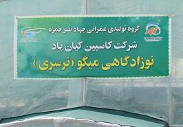 بازدید از مزارع پرورش میگوی سایت گمیشان