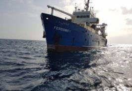 بازدید از کشتی فردوس در آبهای نیلگون خلیج فارس