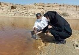 شناسایی مورفولوژیکی و توالی یابی مولکولی و ثبت توالی ژن سیانوباکتر هالوفیت ازتالاب لیپار