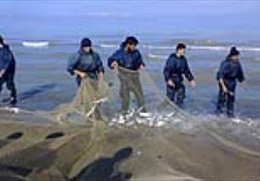 تمدید زمان صید ماهیان استخوانی در دریای خزر