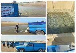 برگزاری جشن رهاسازی بچه ماهیان خاویاری در مزرعه قره‌برون چپکرود