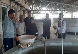 بازدید از مرکز تحقیقات شیلاتی آبهای دور_ چابهار