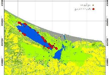 گزارشی از گسترش گیاه مهاجم سنبل آبی در تالاب انزلی