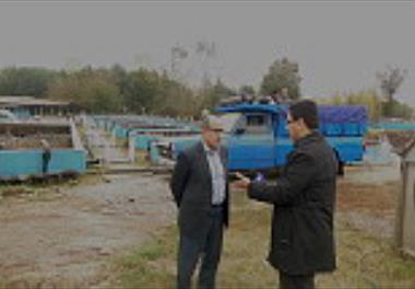 معرفی هیبرید جدید ماهی خاویاری با عنوان بِستر (Bester) به صنعت آبزی پروری کشور