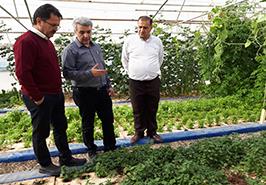 بازدید از مرکز تحقیقات ملی آبزیان آبهای شور_ یزد