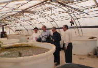 برگزاری جلسه مشترک با شرکت حامی سرمایه اقتصاد