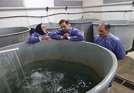 بازدید از مرکز تحقیقات ماهیان سردآبی کشور_ تنکابن