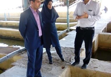 بازدید مدیرکل دفتر بهداشت و بیماریهای آبزیان سازمان دامپزشکی کشور از مرکز تحقیقات یاسوج 