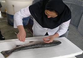 انتصاب دکتر سلطنت نجار لشگری به عنوان عضو کارگروه ملی منابع ژنتیکی آبزیان