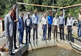 جلسه هم‌ اندیشی پرورش دهندگان ماهیان سردآبی استان گلستان