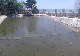 بازدید کارشناسان پژوهشکده آبزی پروری آبهای داخلی_ گیلان