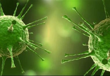 اخذ موافقت تاسیس و راه اندازی" شبکه بیماری های ویروسی ایران"