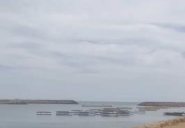 بازدید از سایت پرورش ماهی در قفس رودیک و بررسی روند اجرای پایلوت پژوهشی در چابهار