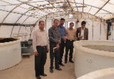 برگزاری جلسه با جهاد کشاورزی زرند استان کرمان