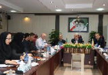 تدوین سند ملی 