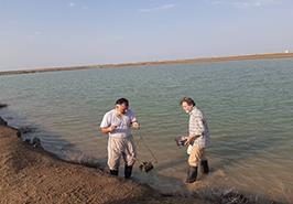 مزارع سایت میگوی گمیشان