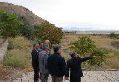 تولید انبوه بیومس و سیست آرتمیا 