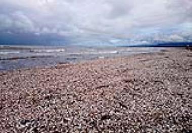 ساحل صدفی در دریای خزر