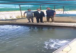بازدید محققان معین انستیتو تحقیقات بین‌المللی ماهیان خاویاری از مزرعه پرورش ماهی خاویاری «باغ بهشت» چابکسر
