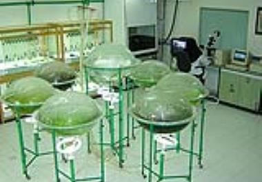 برگزاری اولین نشست مدیران مراکز عضو شبکه آزمایشگاهی فناوری های راهبردی