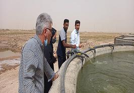 بازدید گروه محققان پژوهشکده از طرح ترویجی پژوهشی اشتغال زایی روستایی با پرورش ماهی باس دریایی آسیایی