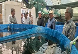 یک قدم تا اخذ سند مرکز ملی آبزیان آب های شور