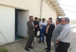 بازدید از مرکز تحقیقات ژنتیک و اصلاح نژاد ماهیان سردآبی شهید مطهری یاسوج