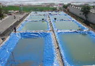 اجرای 12 پروژه تحقیقاتی در  مرکز تحقیقات آرتمیای کشور در سال 94