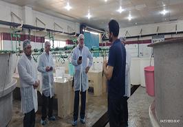 بازدید از روند اجرایی پروژه میگوی کروما