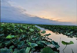 جلسه با فرمانداری شهرستان بندرانزلی