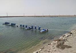 بازدید پژوهشگران ایستگاه تحقیقاتی ماهیان دریایی بندر امام خمینی از مرکز تکثیر میگو در قالب طرح یاوران تولید