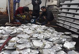 دستاوردهای اولیه پروژه برآورد توده زنده کفزیان