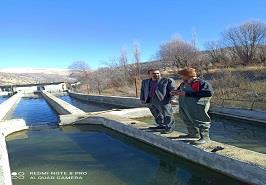 حضور رئیس مرکز در طرح یاوران تولید