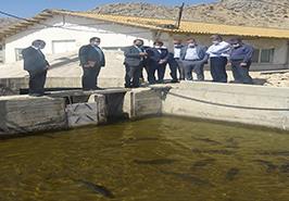 بازدید از مرکز تحقیقات ژنتیک و اصلاح نژاد ماهیان سردآبی شهید مطهری یاسوج