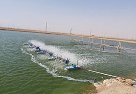 بازدید رابط و دبیر کمیته ترویج پژوهشکده آبزی پروری آب های جنوب کشور_ اهواز