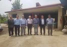 بازدید رئیس موسسه تحقیقات علوم شیلاتی کشور از مراحل اجرایی پروژه تکثیر کپور تاتا