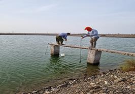 پنجمین گشت تحقیقاتی پژوهشکده اکولوژی خلیج فارس و دریای عمان با هدف پایش بیماری حاد هپاتوپانکراس به پایان رسید